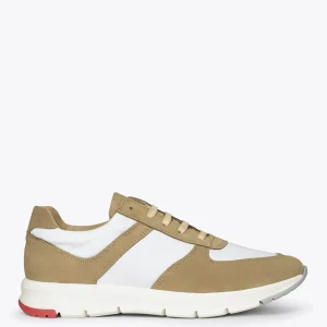 Zapato<miMaO Berlin Deportivas Para Hombre Casual Beige