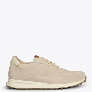 Zapato<miMaO Boston Zapatillas De Piel Para Hombre Beige